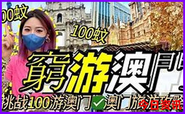 旅游团在哪里报名